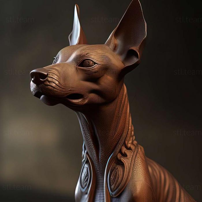 Animals Xoloitzcuintli dog